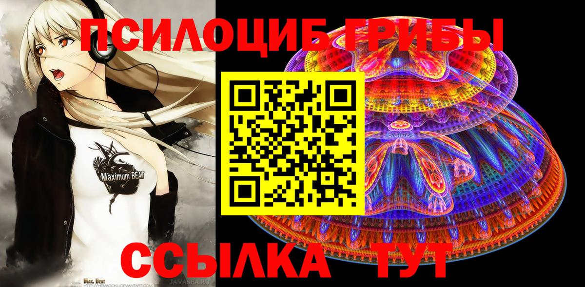 Сальск  Галлюциногенные грибы ЛСД  Вход с VPN  Псилоцибиновые грибы Psilocybine cubensis 