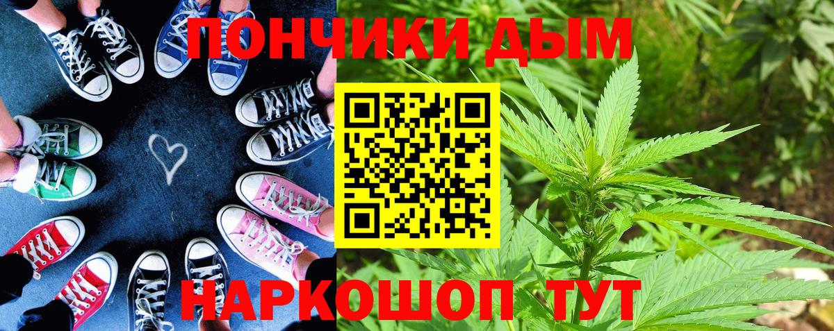 Бошки марихуана планчик  Шишки марихуана AK-47  Вход с VPN  Канабис гибрид  Сальск  Марихуана ГИДРОПОН 